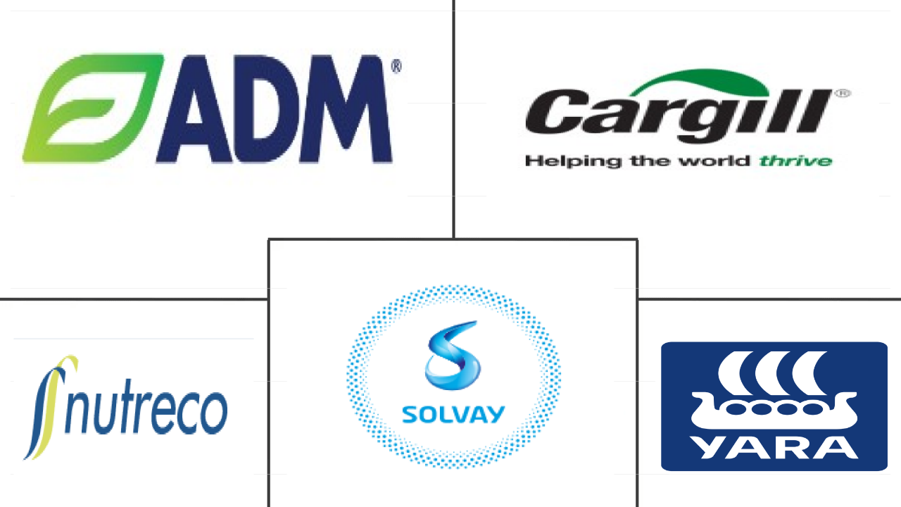 Related Companies Logo