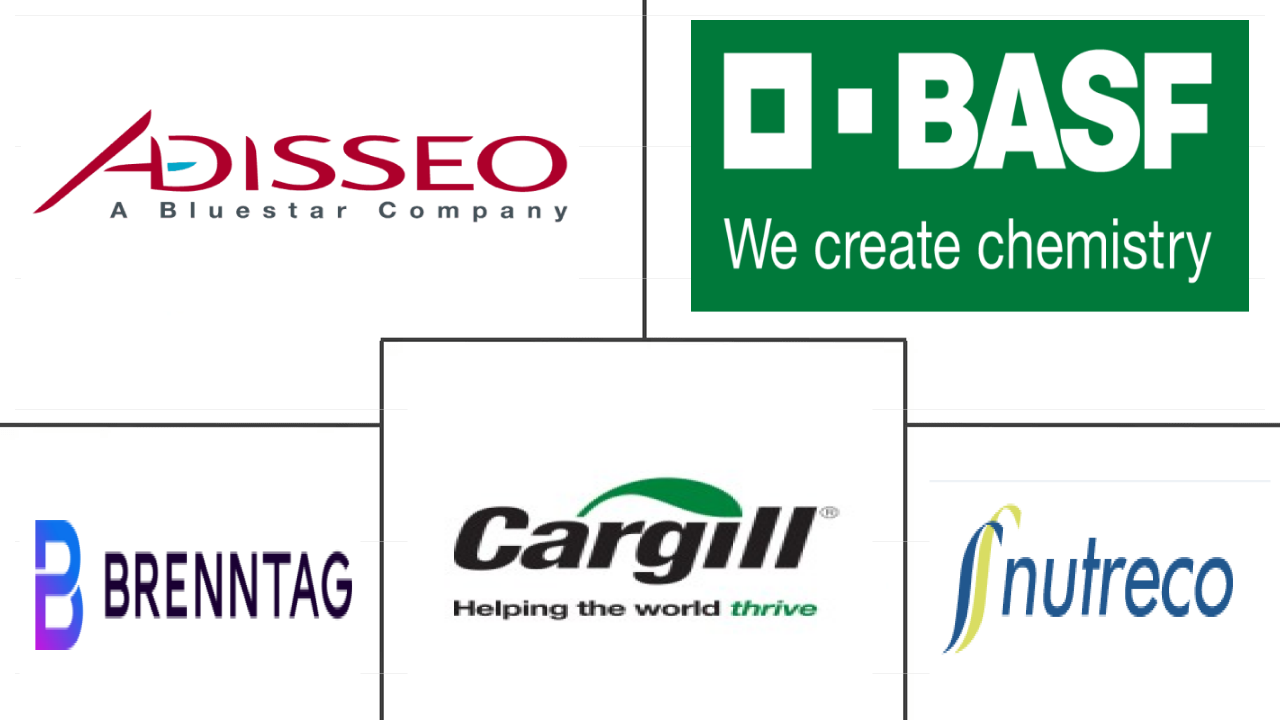 Related Companies Logo