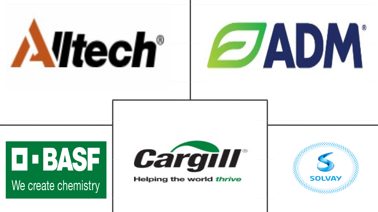 Related Companies Logo