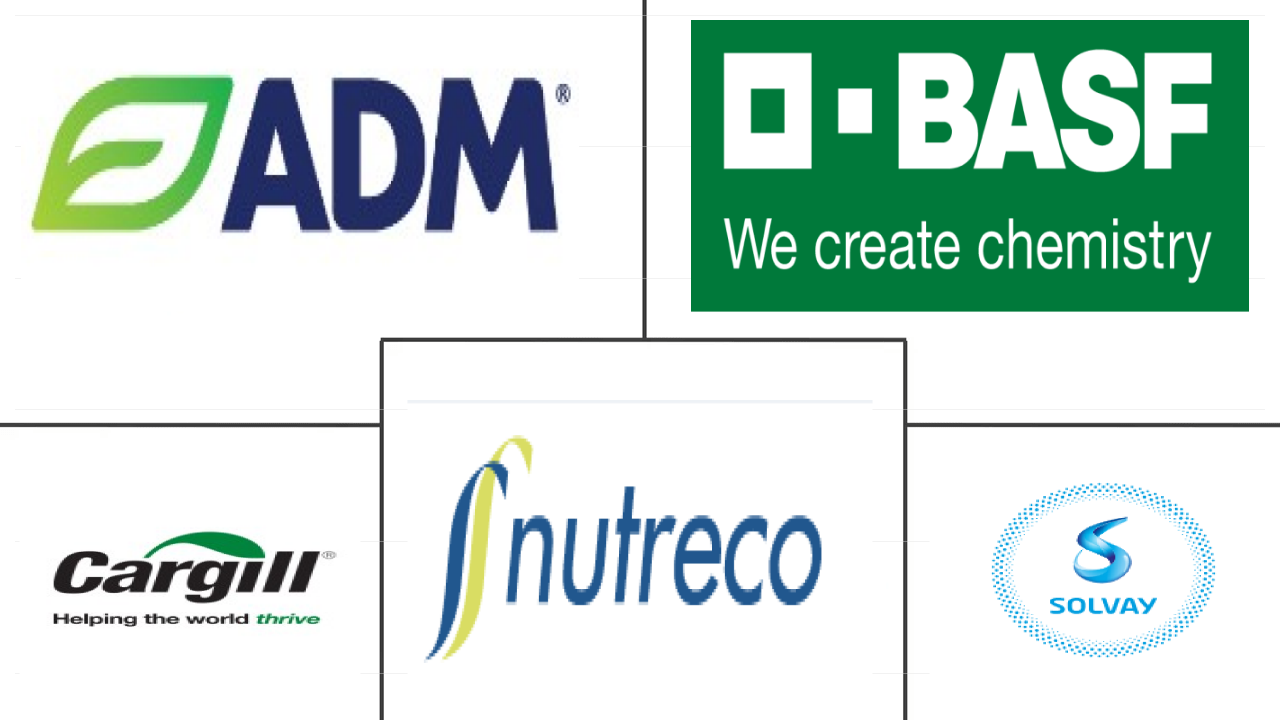 Related Companies Logo