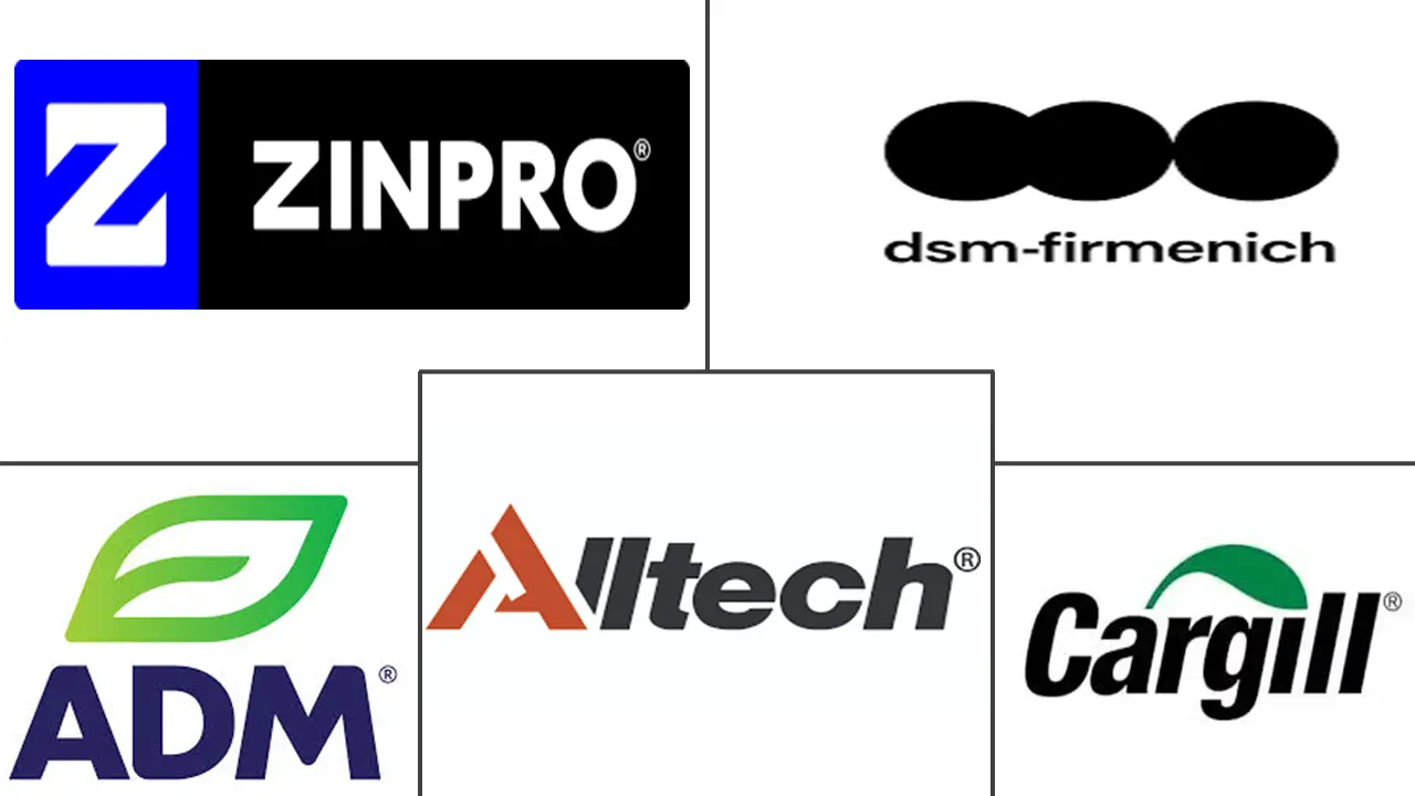 Related Companies Logo