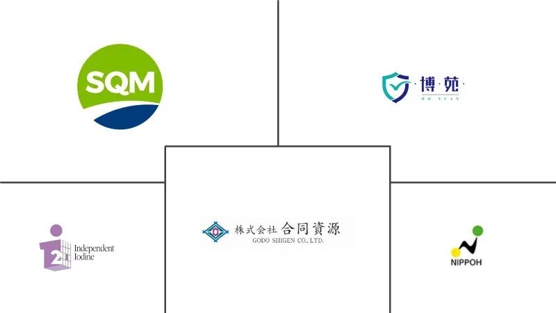 Related Companies Logo