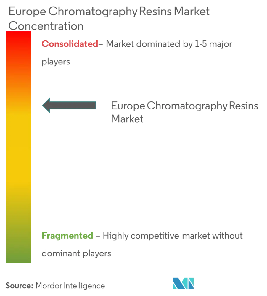 Europe Chromatography Resins Market Concentration Thermo Fisher Scientific, General Electric, Merck KGaA, Mitsubishi Chemical Corporation, Dupont