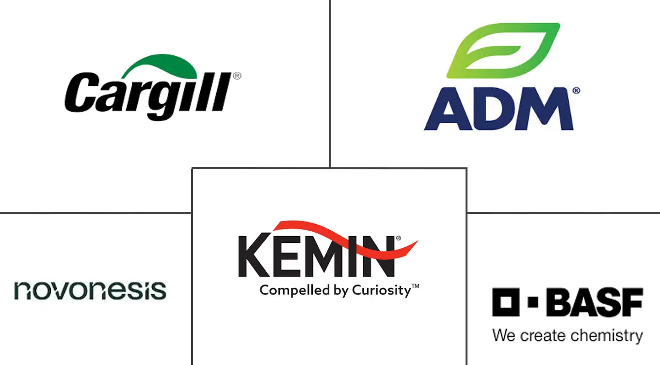 Related Companies Logo