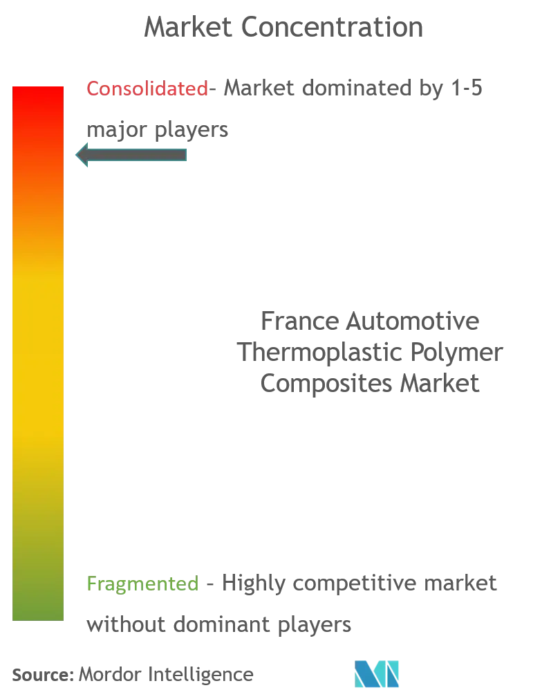 France Automotive Thermoplastic Polymer Composites Market Concentration fafaef.png