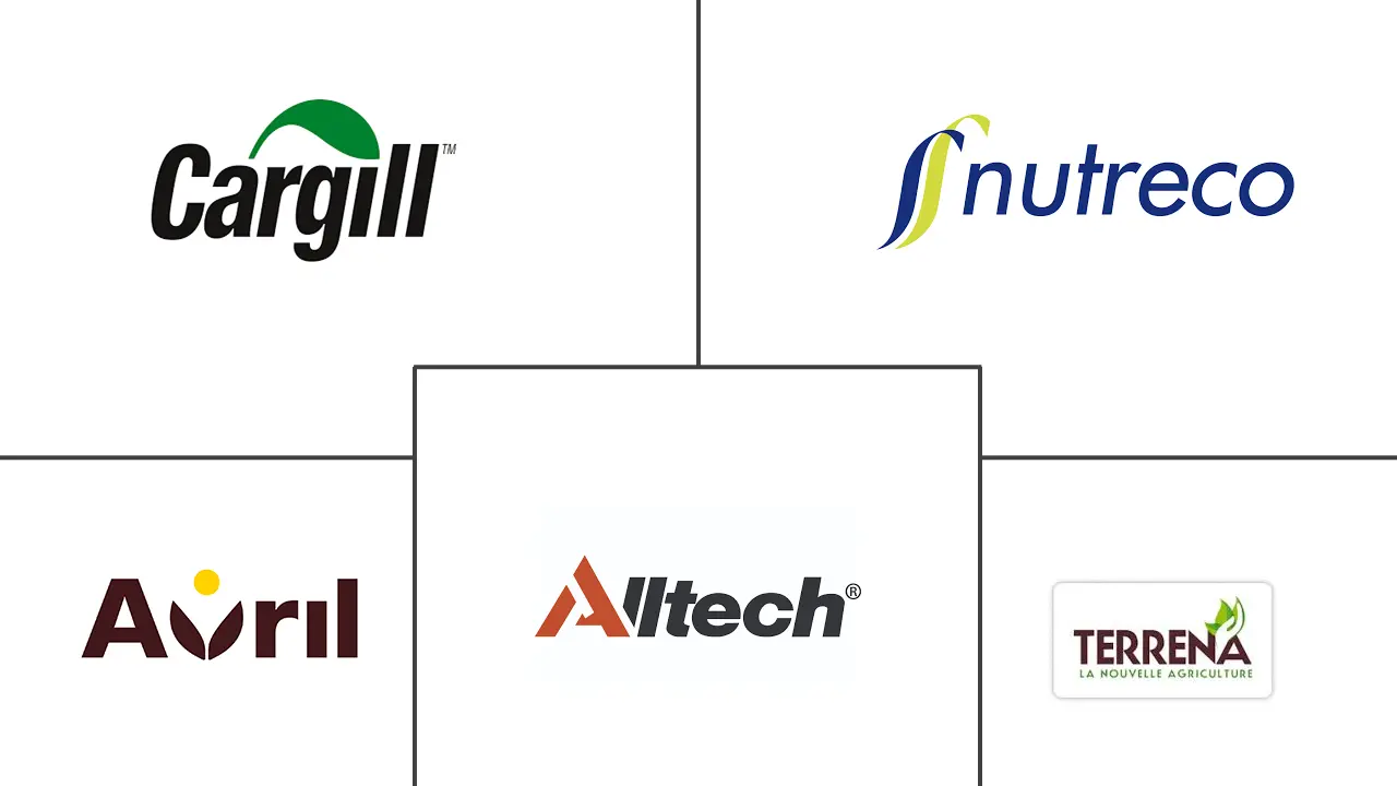 Related Companies Logo