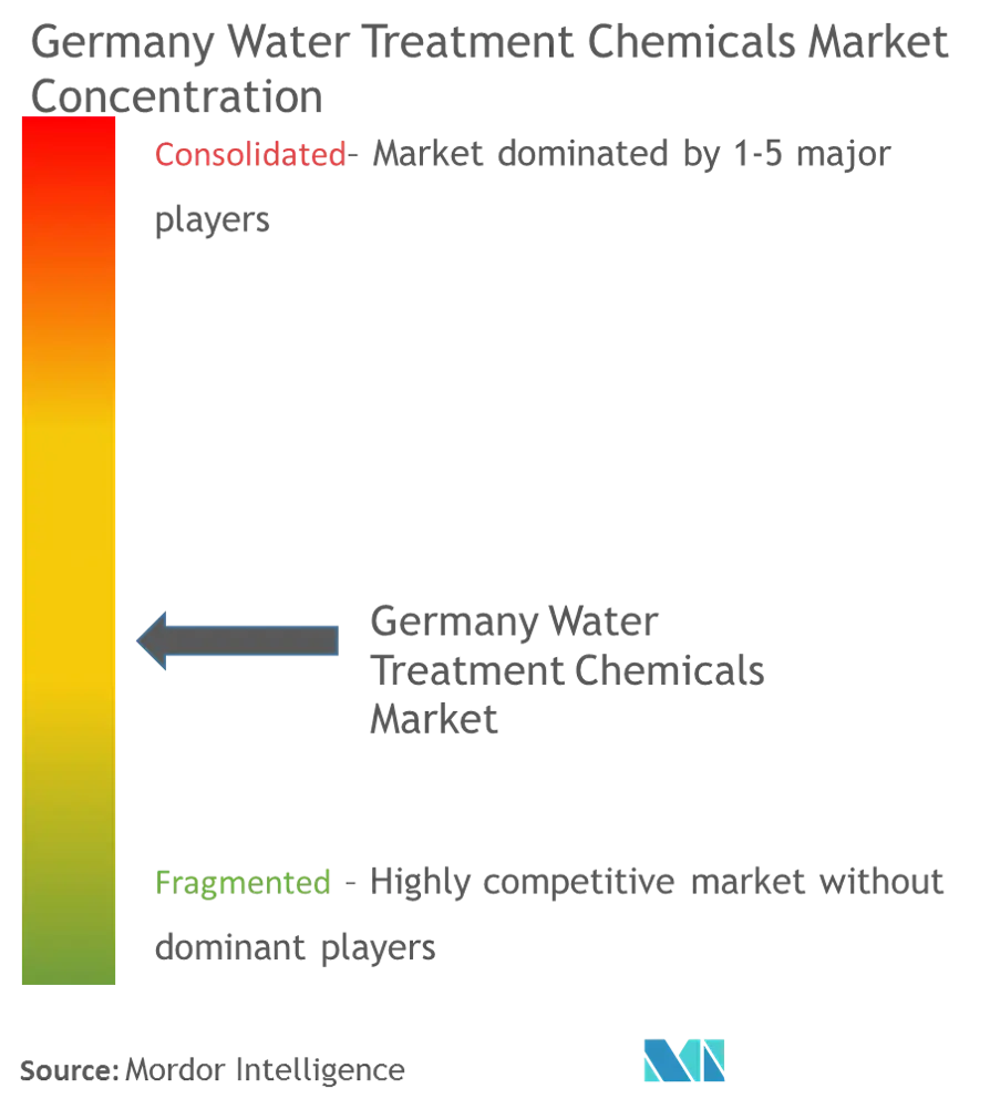 Germany Water Treatment Chemicals Market Concentration Germany Water Treatment Chemicals market - Market Concentration.png
