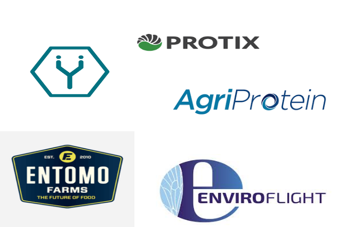 Related Companies Logo